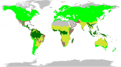 Distribuição natural das Fabaceae. As leguminosas estão presentes nos quatro maiores biomas: floresta tropical, temperados, pradarias e suculentas.[4]
