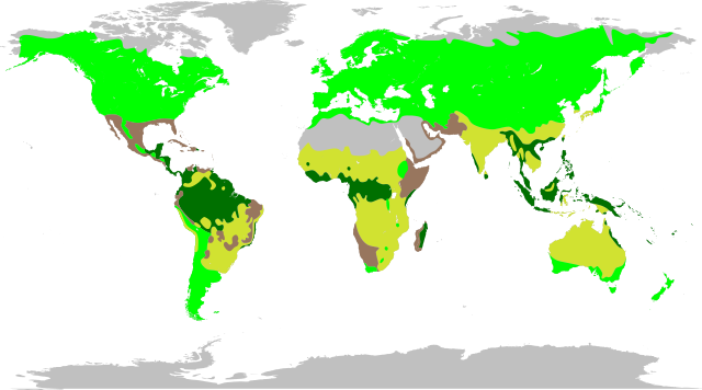 Distribuição natural das Fabaceae. As leguminosas estão presentes nos quatro maiores biomas: floresta tropical, temperados, pradarias e suculentas.