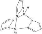 Structure of a metal complex of trispyrazolylborate, an anionic tridentate tripod ligand.[6]