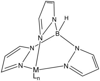 Géométrie idéalisée d'un centre métallique M, éventuellement lié à ses ligands Ln, lié aux trois pyrazoles du ligand Tp.