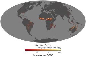 File:MOD14A1 M FIRE.ogv