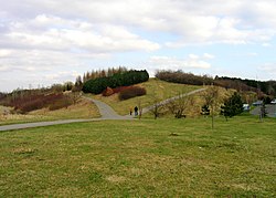 Milíčovský vrch v roce 2008