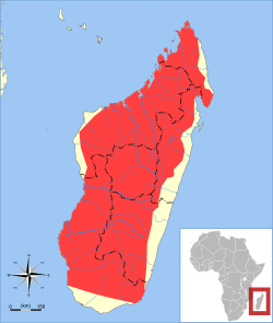 Distribución de M. manavi