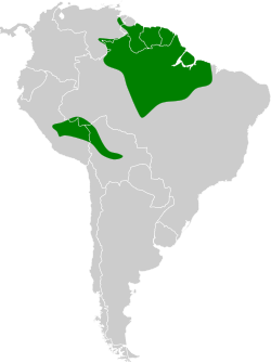 Distribución geográfica del mosquero de McConnell.