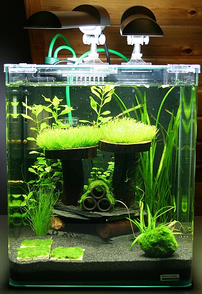 nano aquarium