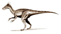 Az Ornitholestes rekonstrukciója