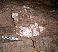 Griffades dans l'argile de la grotte de Décamagne, Sainte-Anastasie, Gard, France.