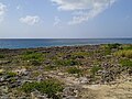 Paysage de la pointe d'Antigues.