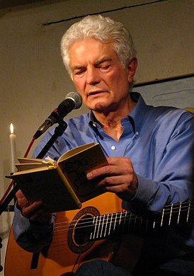 Петер Хортен в 2008 году