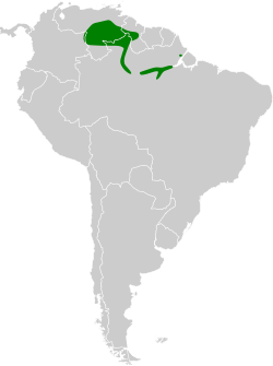 Distribución geográfica del ermitaño del Rupununi