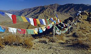 Lungta-style prayer flags hang along a mountai...