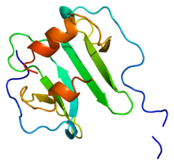 Protein CXCL12 PDB 1a15.png