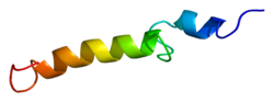 Protein PTH PDB 1bwx.png