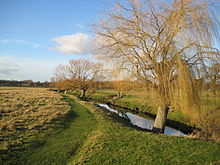 Beverley Brook in the park Richmond Park, Beverley Brook - geograph.org.uk - 676367.jpg