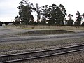 Rolleston railway station 02.JPG