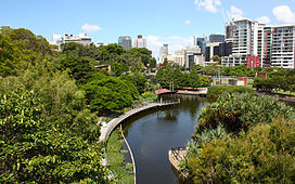 Romao Street Parklands, Brisbano (3365542717).jpg