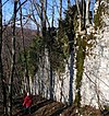 Burgruine Zobelsberg