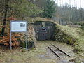 Stollenmundloch Tiefer Altenberger Stollen