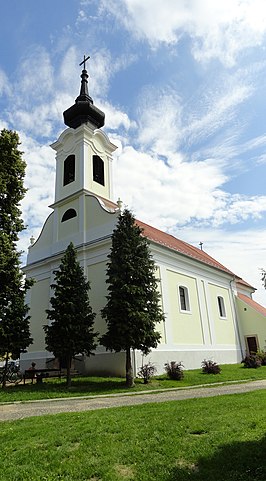 Katholieke kerk