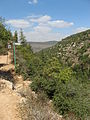 View of Wadi Qetalav, Jerusalem mountains