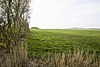 Door een gracht/kreek omgeven terrein waarin zich een vlucht/kasteelberg bevindt met aangrenzend een verhoogd gelegen voorburcht of bruggehoofd