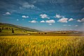 תמונה ממוזערת לגרסה מ־09:32, 18 באוקטובר 2017