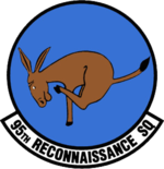 95th Reconnaissance Squadron.png