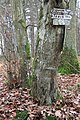 Wegweiser auf dem Beurenkern links am Feldweg von Beurenhof zum prähistorischen Abschnittswall