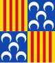 Vlag van Berga (Barcelona)