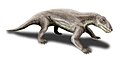 ビアルモスクス Biarmosuchus