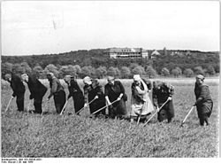 Работа в поле, 1956 год