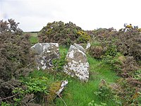 Court Tomb von Altmore