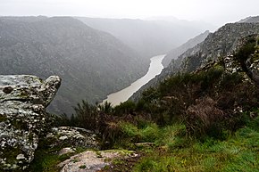 Miradouro do Carrascalinho