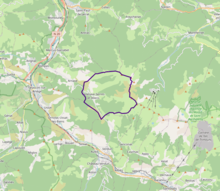 Carte OpenStreetMap