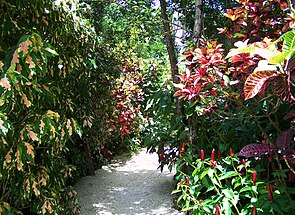 Цветная садовая тропа QEII botanic park.jpg