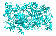 Crystal Structure of Human Diamine Oxidase.png