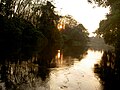 Dawn at Kurumaly River.