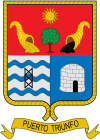 Official seal of Puerto Triunfo