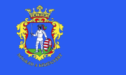 Flagge des Komitats Nógrád