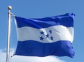 Bendera lama yang berwarna biru langit dikibarkan