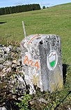 Borne frontière franco-suisse N° 11 (Canton de Vaud).