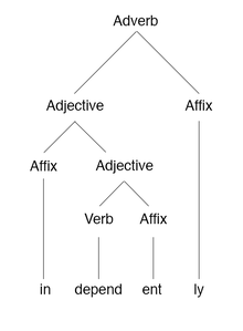 A morphology tree of the English word "independently" Independently morphology tree.png
