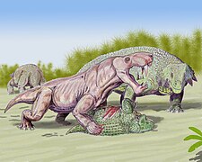 Reconstitution par D. Bogdanov d’un Inostrancevia alexandri attaquant un Scutosaurus juvénile.