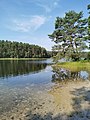 Jezioro Pomyskie na Pojezierzu Bytowskim. Widok na północny zachód.