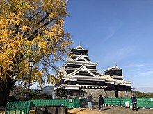 「銀杏城」の別名の由来となった大銀杏と復興中の熊本城