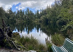 Lake Wombat