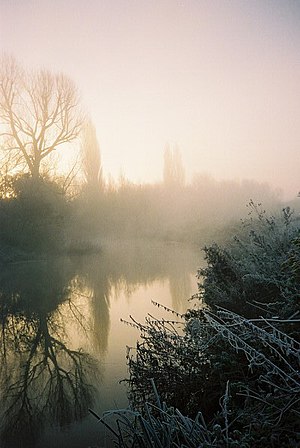 English: Misty dawn, River Loddon. The river s...