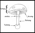 Miniatur versi sejak 22 Januari 2022 03.26