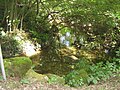 Passage dans la forêt En Ren.