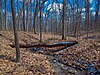 Muskego Park Hardwoods.jpg